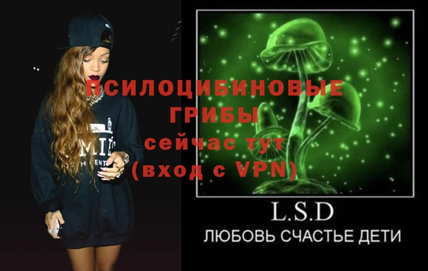 МДПВ Алексеевка