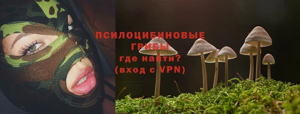 прущие грибы Саяногорск
