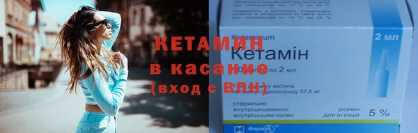 прущие грибы Саяногорск