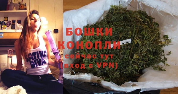 прущие грибы Саяногорск