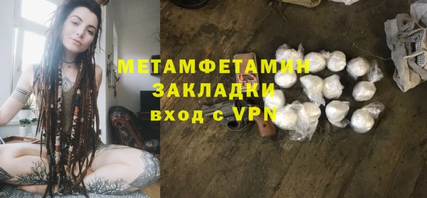 прущие грибы Саяногорск