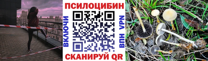 Псилоцибиновые грибы Psilocybine cubensis  где купить наркотик  Котельники 